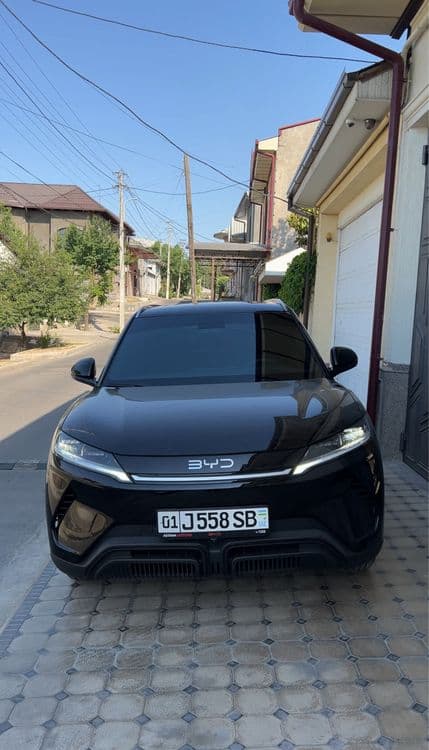 Qora sonsa zashitala skidka bobketi 500000 tanirofka tonirovka tanerof — 2