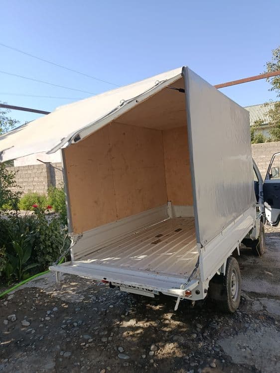Labo tint kampilik — 1