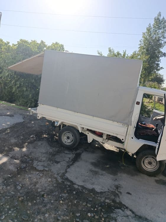 Labo tint kampilik — 2