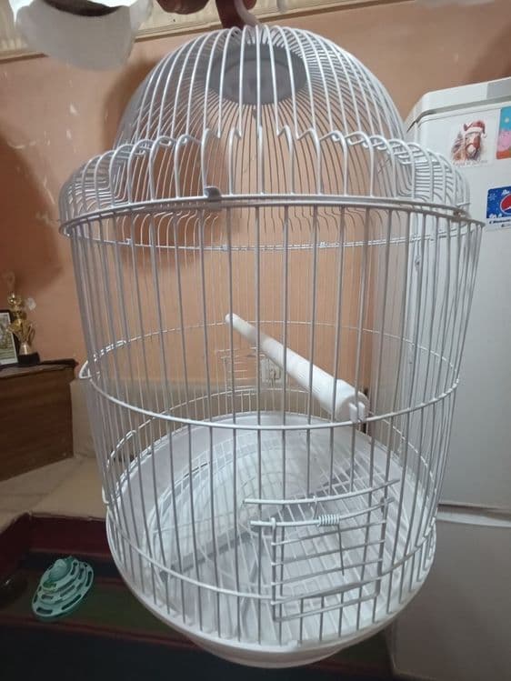 Куш, учун кафас жуда чройли — 2