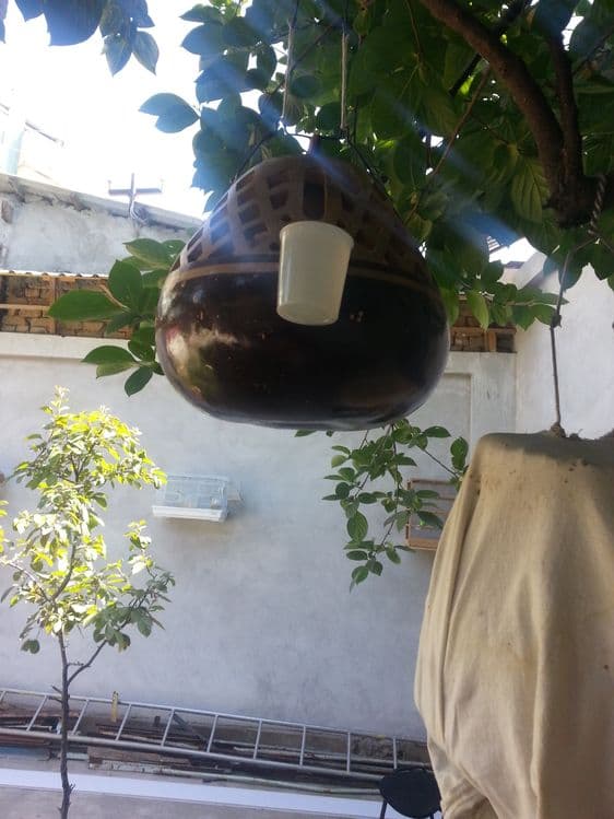 Sayroqi Bedana zo'rlari — 5