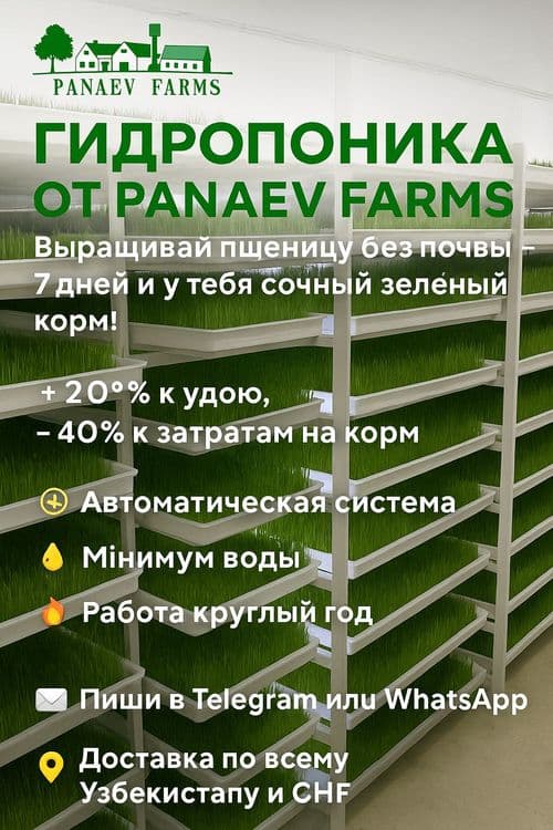 Продаются гидропонные установки для выращивания пшеницы — 5