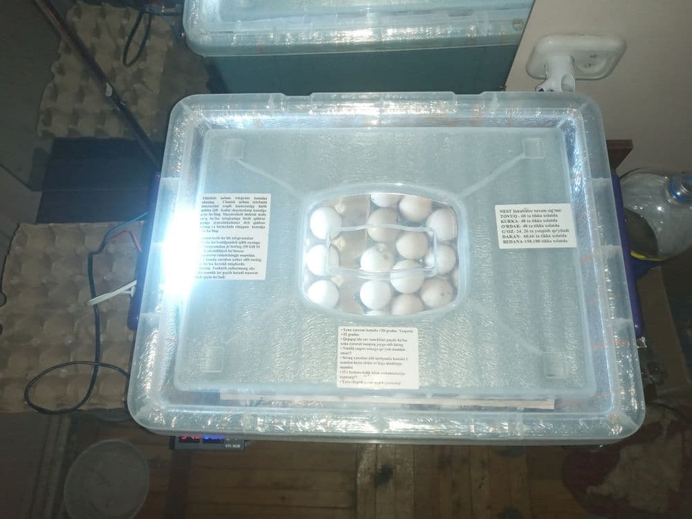 Nest incubator инкубатор автомат 60та тухумга мулчаланган Энди 2-марта — 2