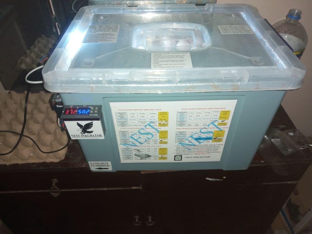 Nest incubator инкубатор автомат 60та тухумга мулчаланган Энди 2-марта — 3