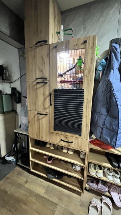 2 попугайчика Карелла с клеткой — 6