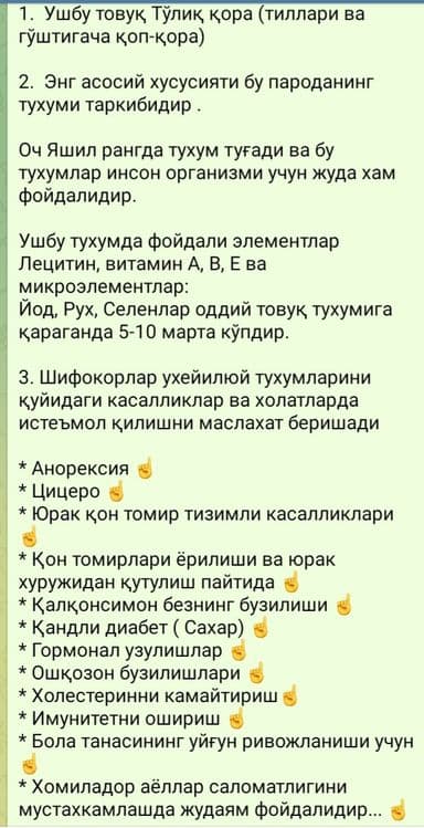 Uxaylu tovuqlar  tuxumlari sotuvda — 3