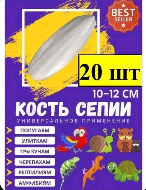 Панцирь каракатицы 12см — 2