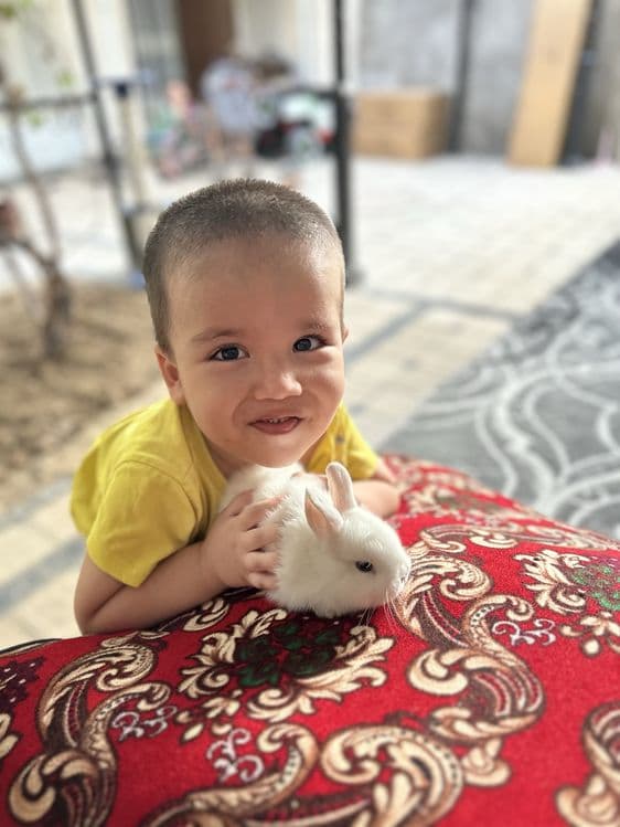 Basmala Farm – Quyon sevuvchilar uchun eng yaxshi tanlov! — 6