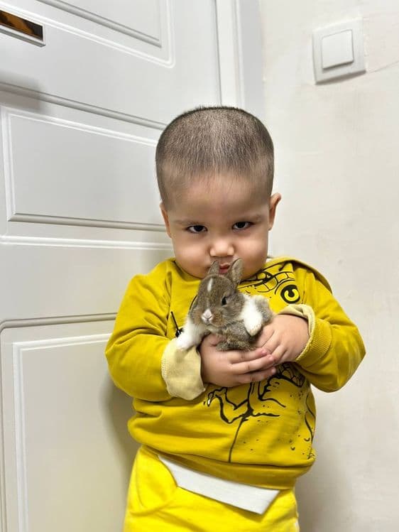 "Barcha Uchun Ideal Uy Hayvoni – Karlik Quyonchalari"

Uy hayvoni s — 1