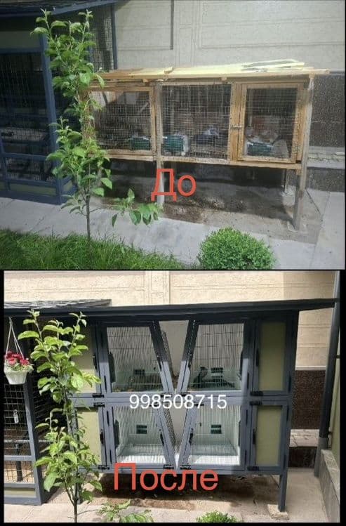 Крольчатник двухъярусный — 1
