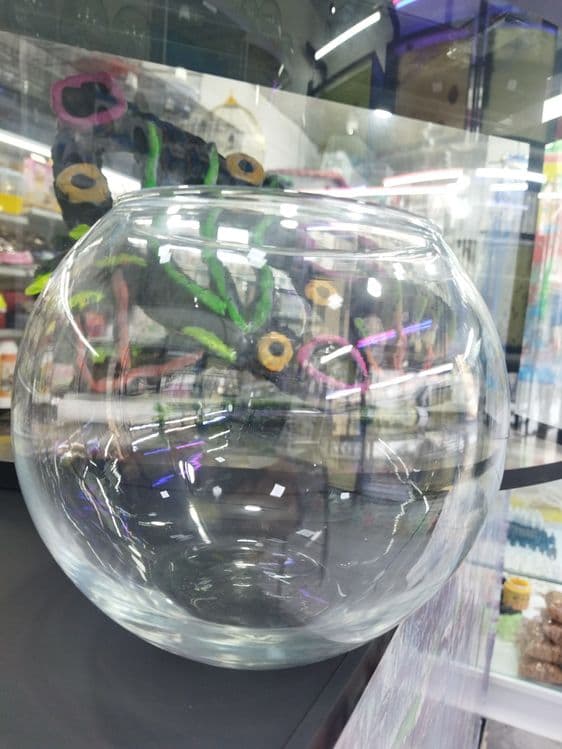 Har hil turdagi dumaloq akvariumlar 2 litr dan,10 litr gacha — 3