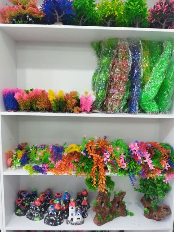 Har hil turdagi dumaloq akvariumlar 2 litr dan,10 litr gacha — 4