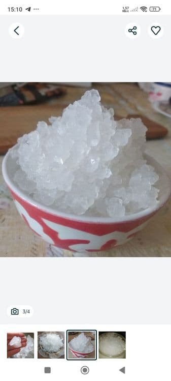 Индийский морской рис — 3