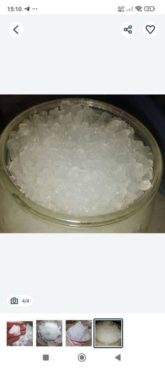 Индийский морской рис — 4