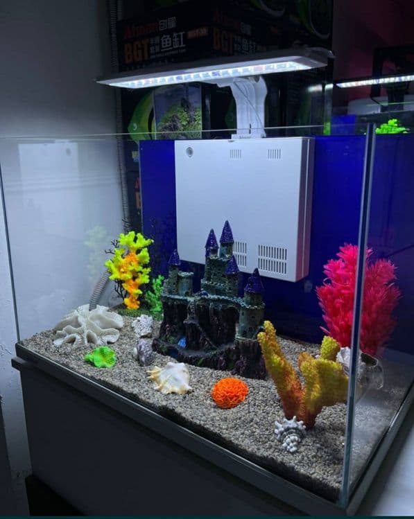 Akvarium va Baliqlar MAGAZIN — 2