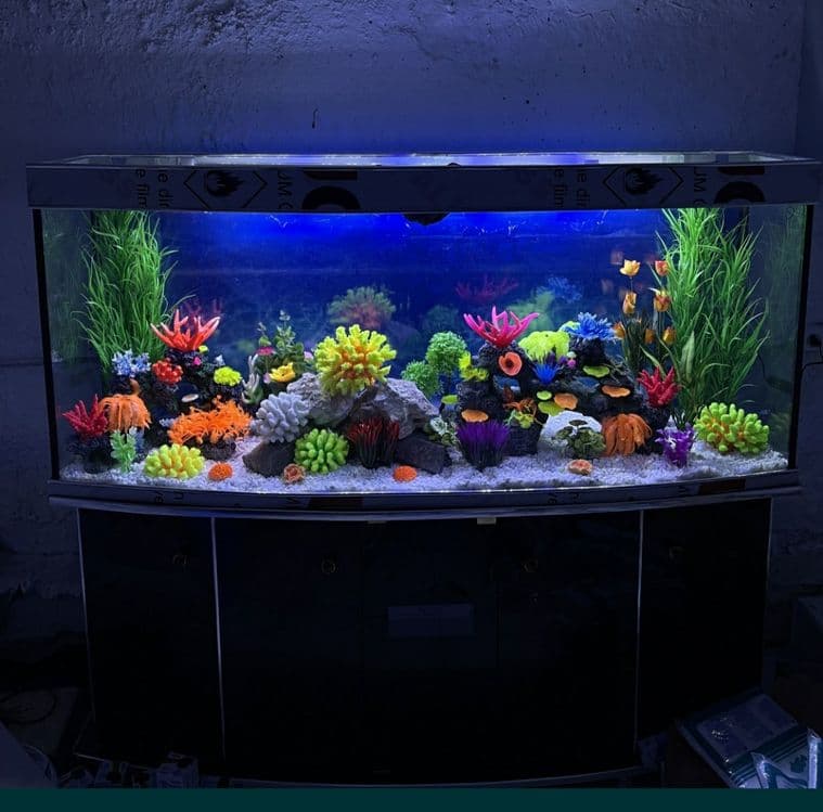 Akvarium va Baliqlar MAGAZIN — 3