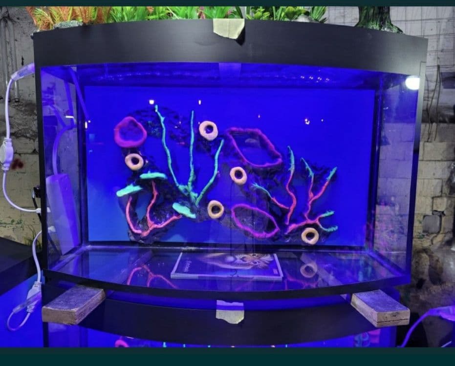 Akvarium va Baliqlar MAGAZIN — 4