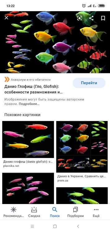 Продам мирных аквариумных рыб — 1