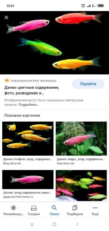 Продам мирных аквариумных рыб — 2