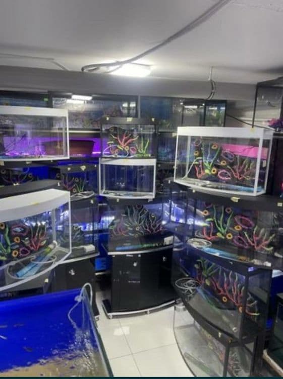 Akvarium 20Litr 30 Litr 50 litr Yengi — 3