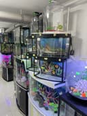 Akvarium Magazin