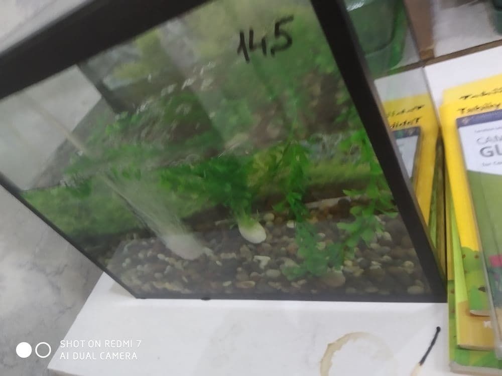 Akvarium sotiladi — 3