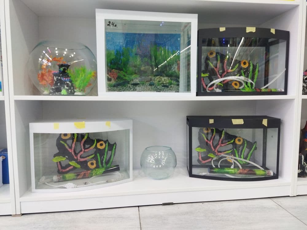 Akvarium va baliqlar hamda aksessuarlar doʻkoni. Sergilida — 2