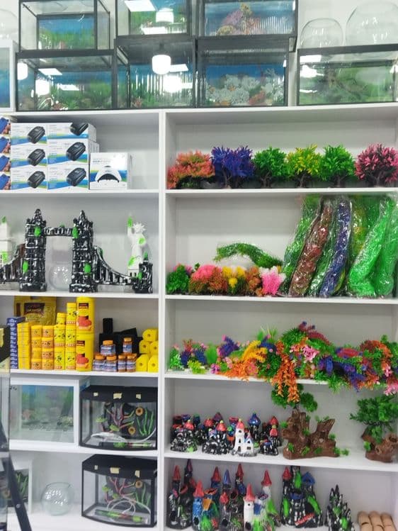 Akvarium va baliqlar hamda aksessuarlar doʻkoni. Sergilida — 5