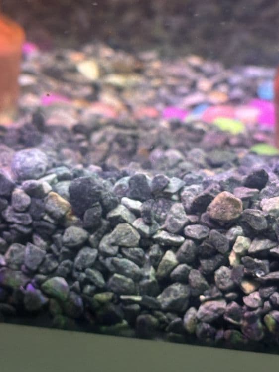 Akvarium toshlari 20kg+ — 1