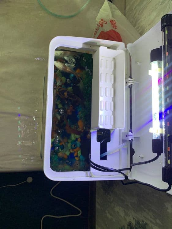 Akvarium sotiladi 15 litr — 3