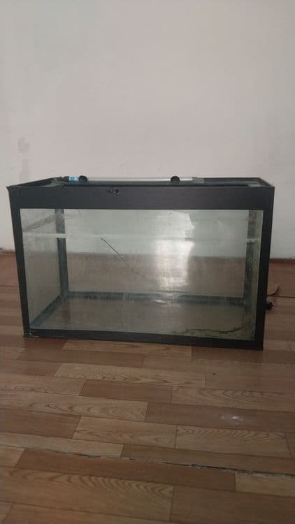 Меняю аквариум на круглый — 1