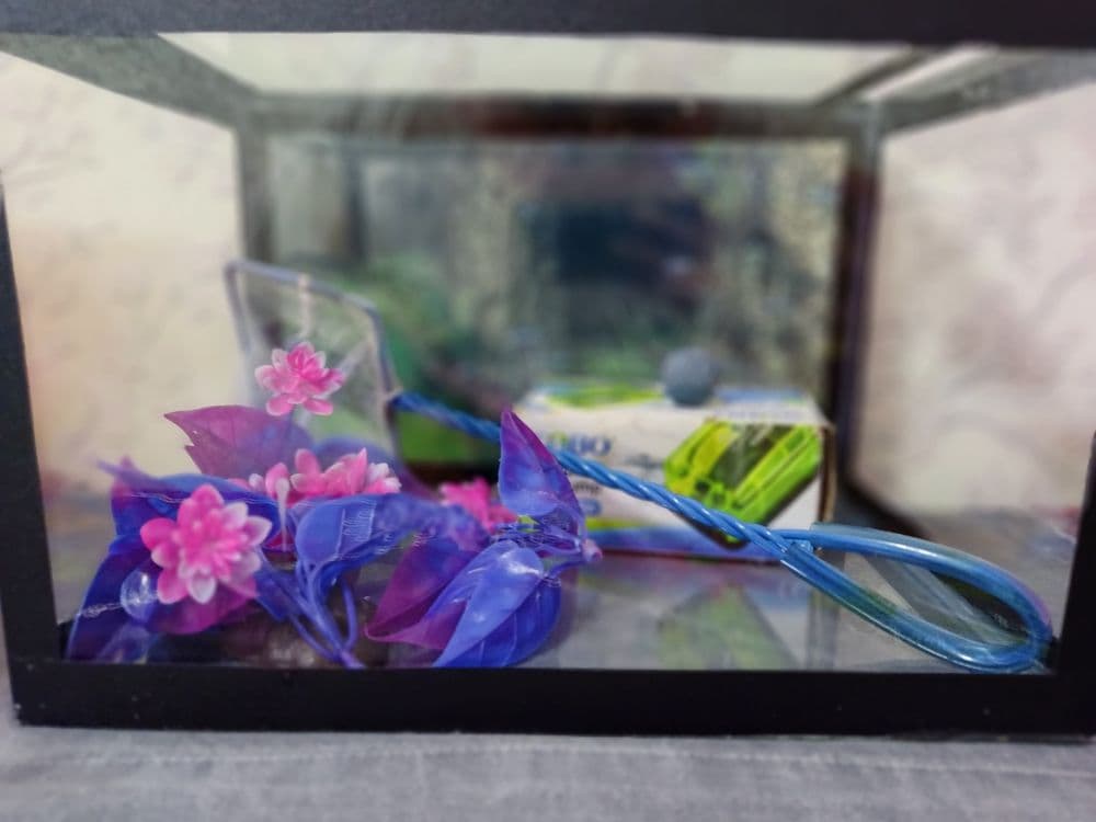 Baliqlar uchun akvarium — 1
