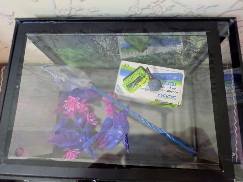 Baliqlar uchun akvarium — 2