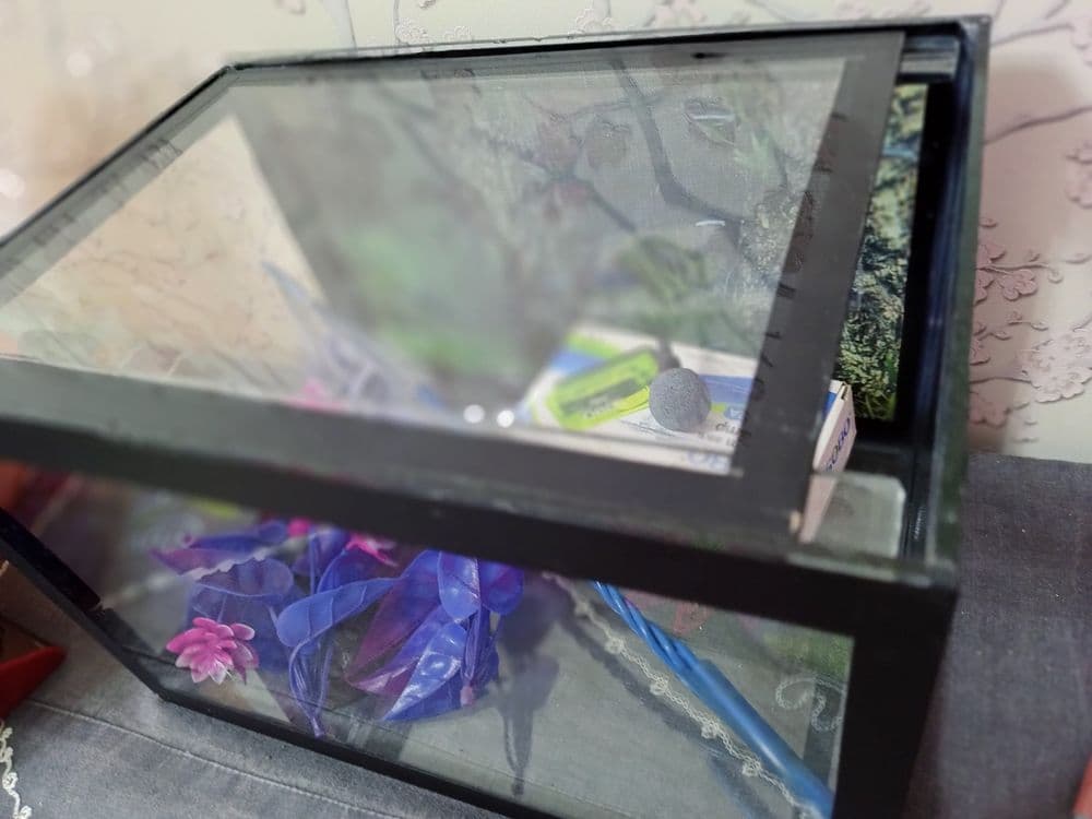 Baliqlar uchun akvarium — 3