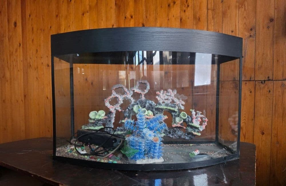 100 litrlik akvarium