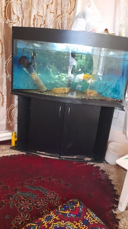 Akvarim sotiladi hamma narsasi bn srochna — 1