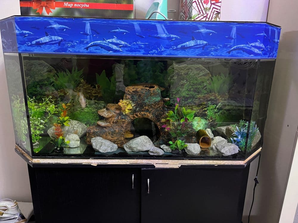 Akvarium sotiladi — 2