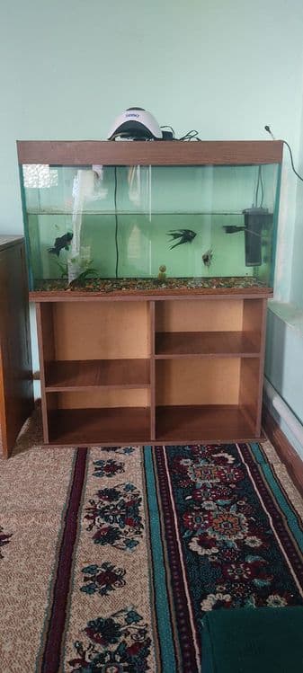 Akvariyum 850 min — 1