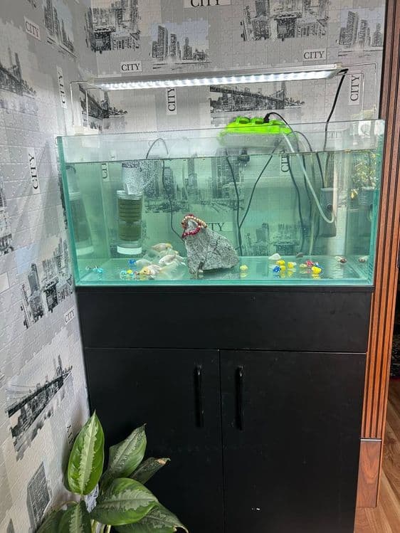 Akvarium sotiladi — 1