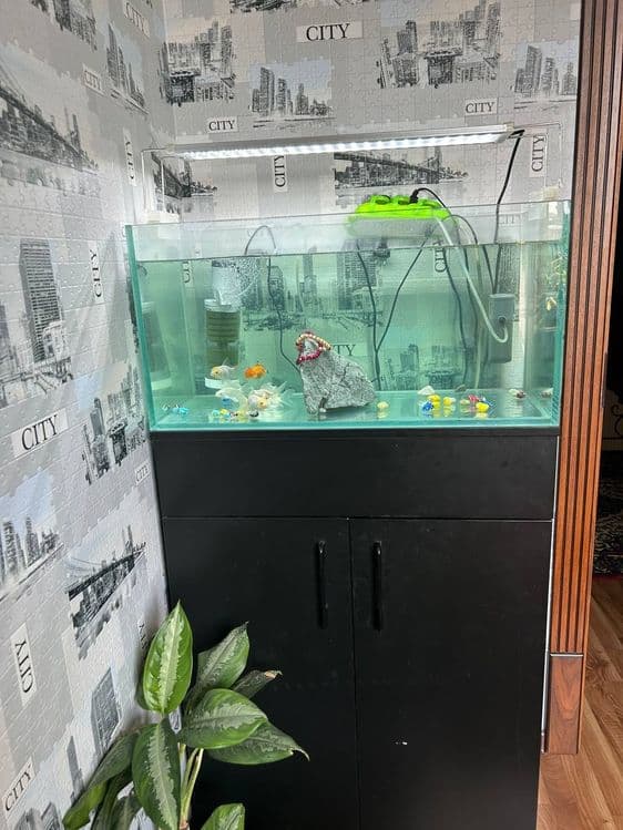 Akvarium sotiladi — 2