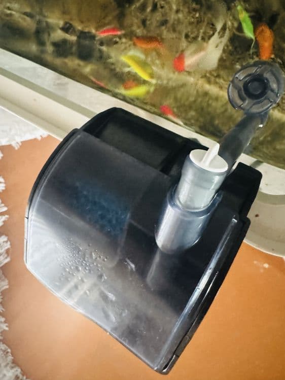 Baliqlar + Akvariumi bilan — 2