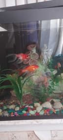 Аквариум 200 литров