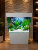 Akvarium 150L sotiladi