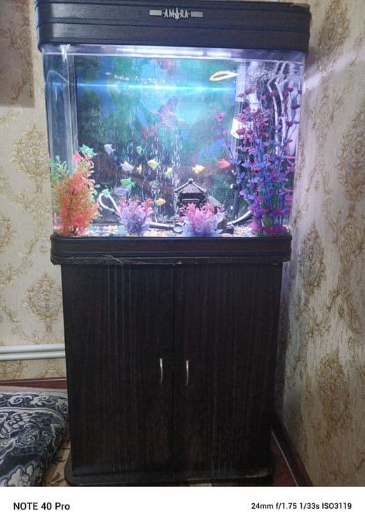 Аквариум с рыбами 80L — 1