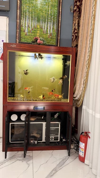 Srochni Aквариум заводской китайский 280 LT — 3