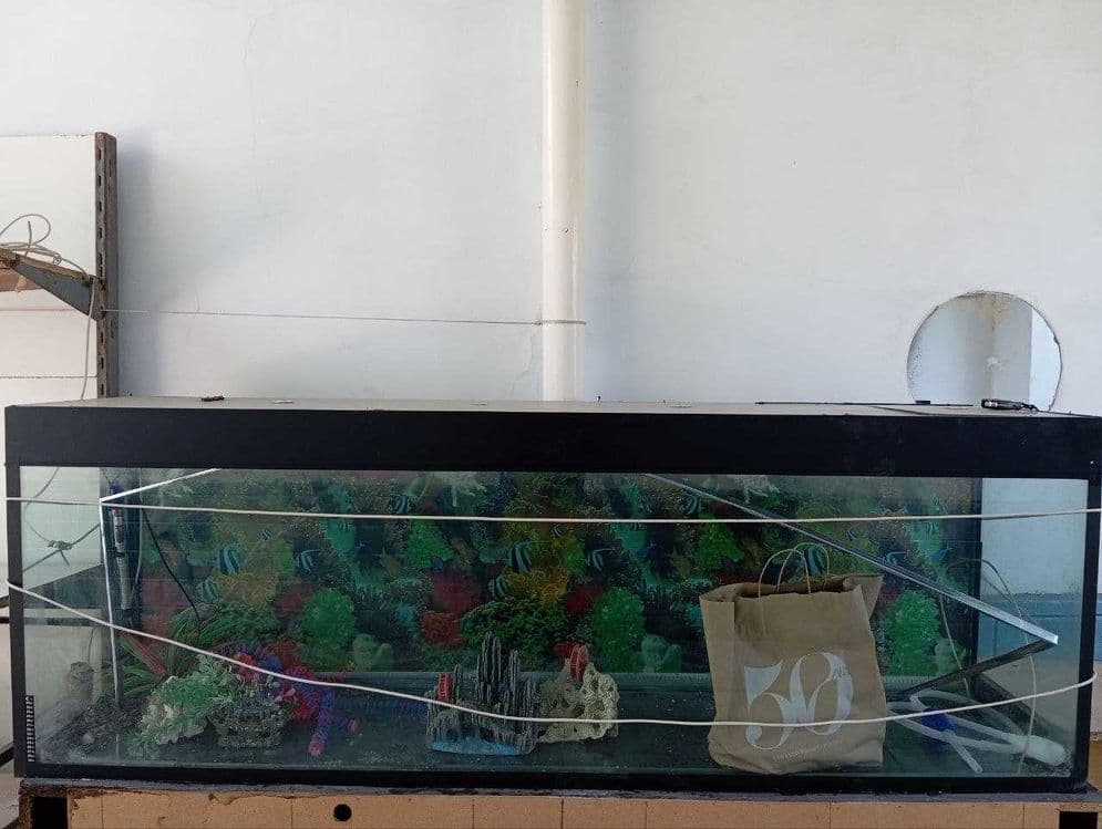 Akvarium sotiladi xolati yaxshi — 1