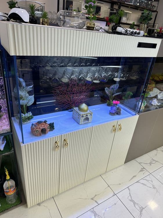 Akvarium Kirashiniy 120 sm — 1