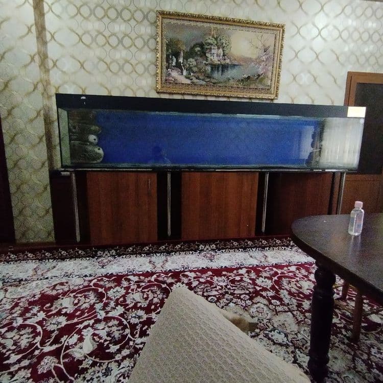 Аквариум продаётся срочно — 1