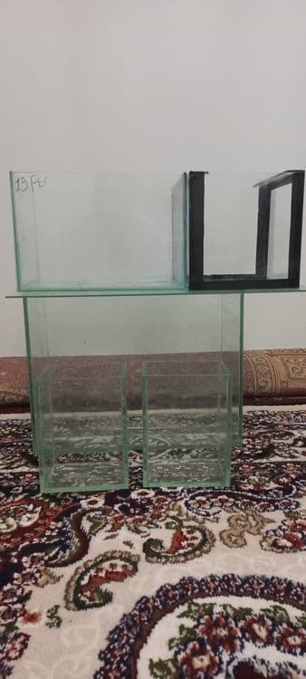 Harxil turdagi baliq akvarium bor juda arzon narxlarda — 3