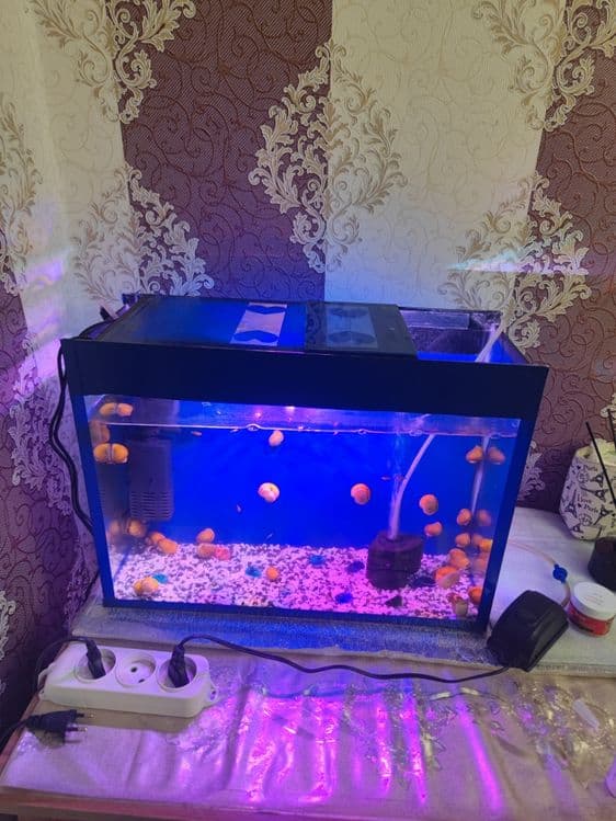 Akvarium komplekt 40Litr